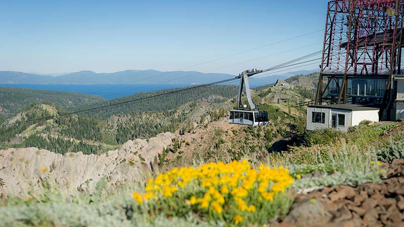 The Aerial Tram docks at 8,200 feet at High Camp in the summer.